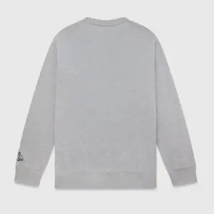 LOONEY TUNES™ X RAPTORS WARM UP CREWNECK GREY